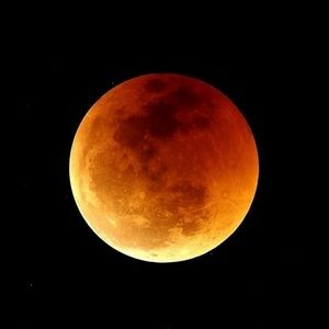 Meet your Posher, Rowdy